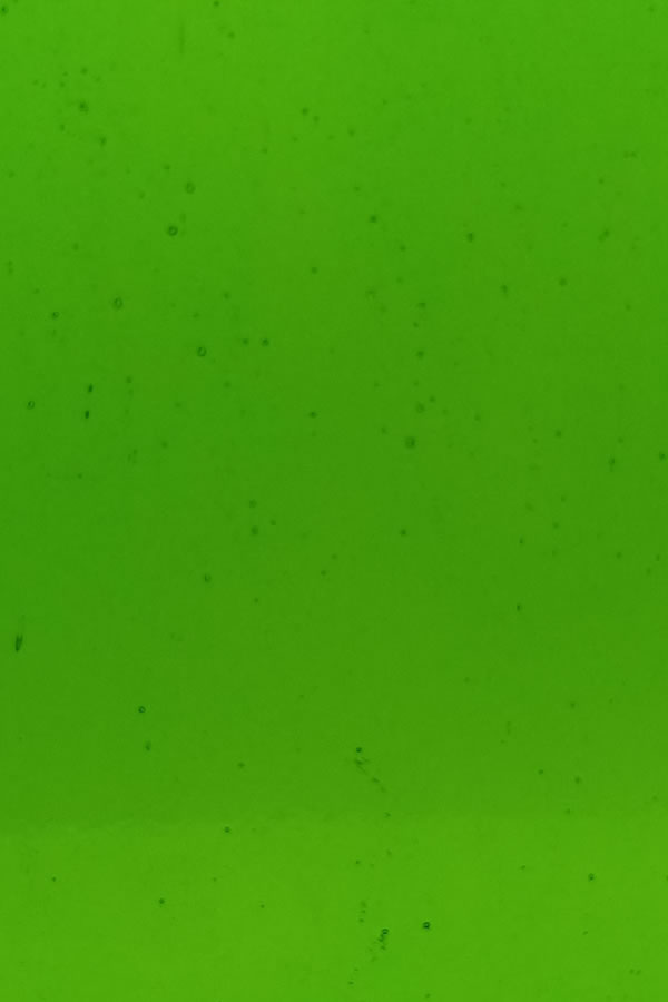 31-8558
