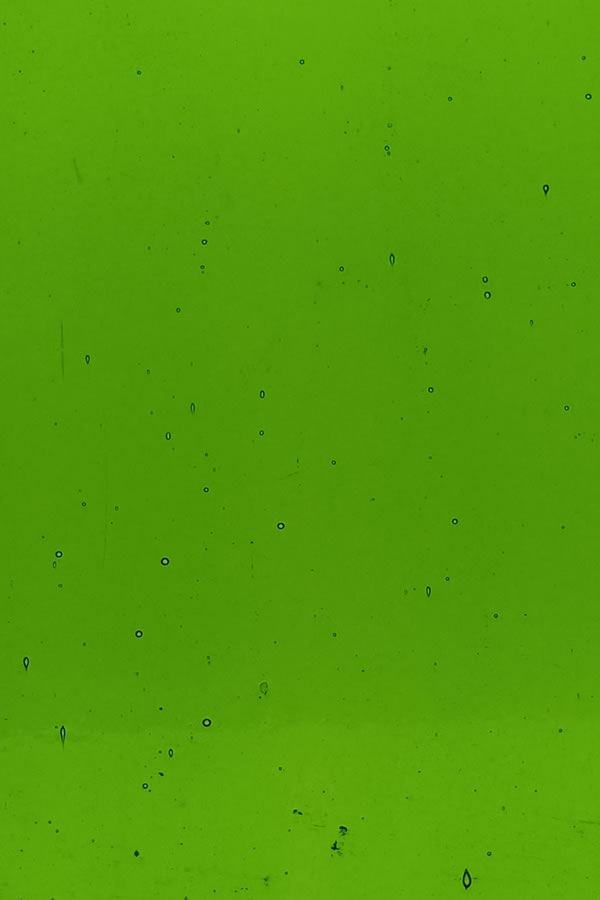 31-8550
